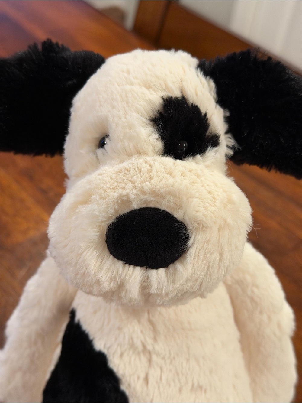 Jellycat Bashful Black & Cream Puppy - Picture 5 of 6